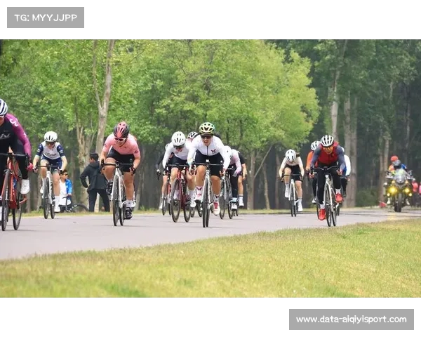 体育版权市场分化加剧，顶级赛事价值攀升与普通赛事流拍并存